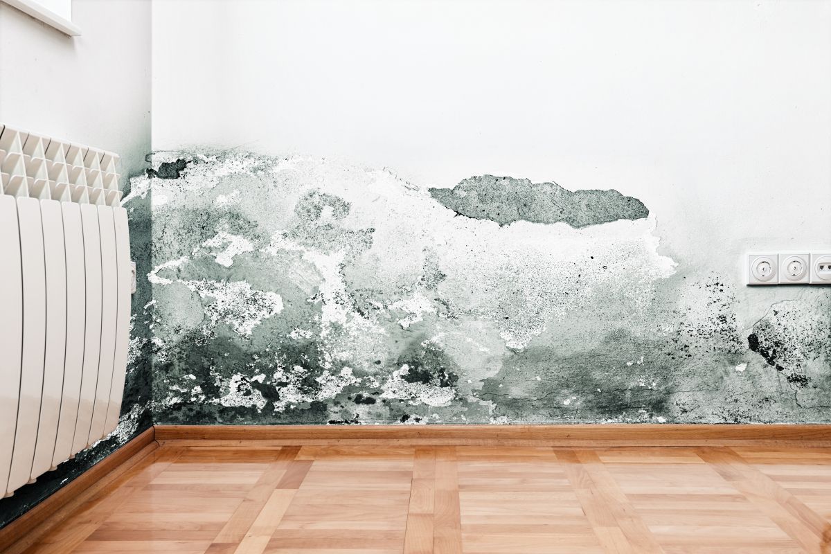 Water Damage Retoration,